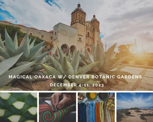 Magical Oxaca with Denver Botanic Gardens 2023
