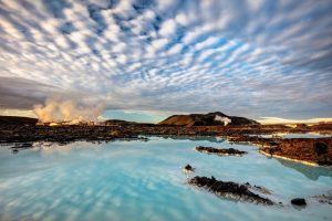 Guided birding and natural history tour to Iceland with Reefs to Rockies and Denver Audubon