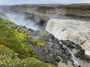 Guided birding and natural history tour to Iceland with Reefs to Rockies and Denver Audubon.