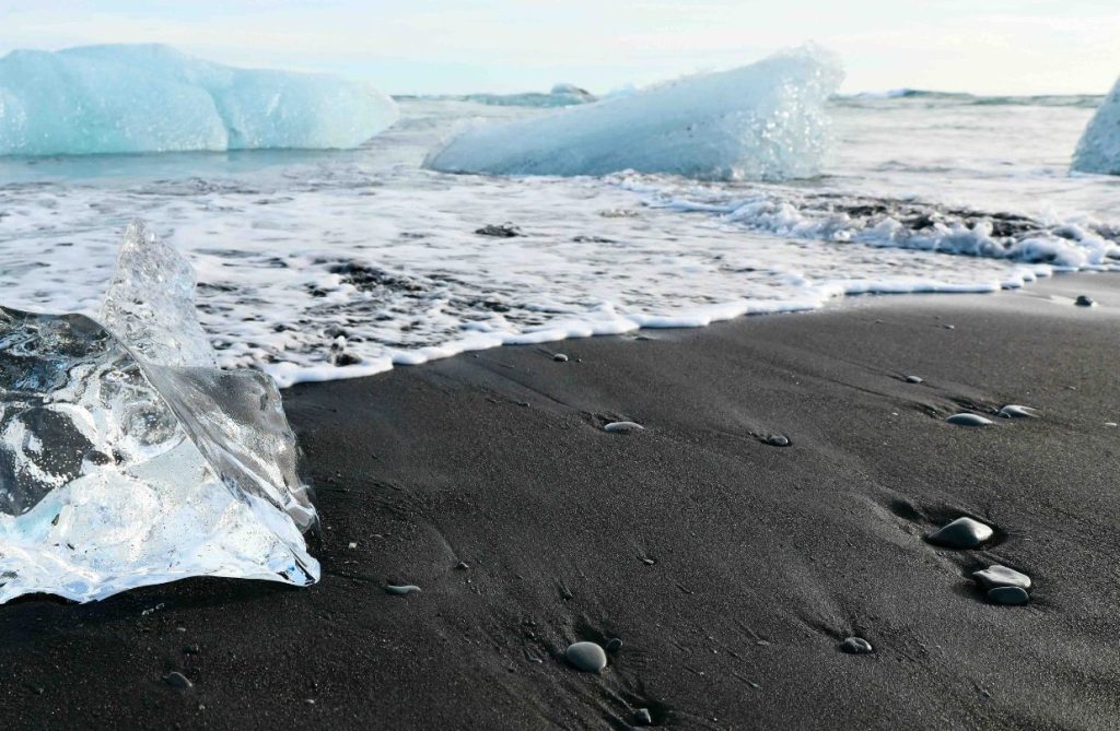 Guided birding and natural history tour to Iceland with Reefs to Rockies and Denver Audubon