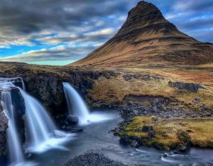 Guided birding and natural history tour to Iceland with Reefs to Rockies and Denver Audubon