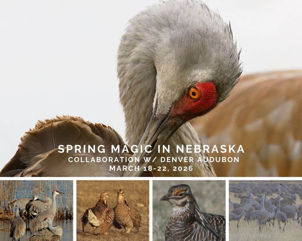 Spring-Magic-in-Nebraska-2026-Postcard