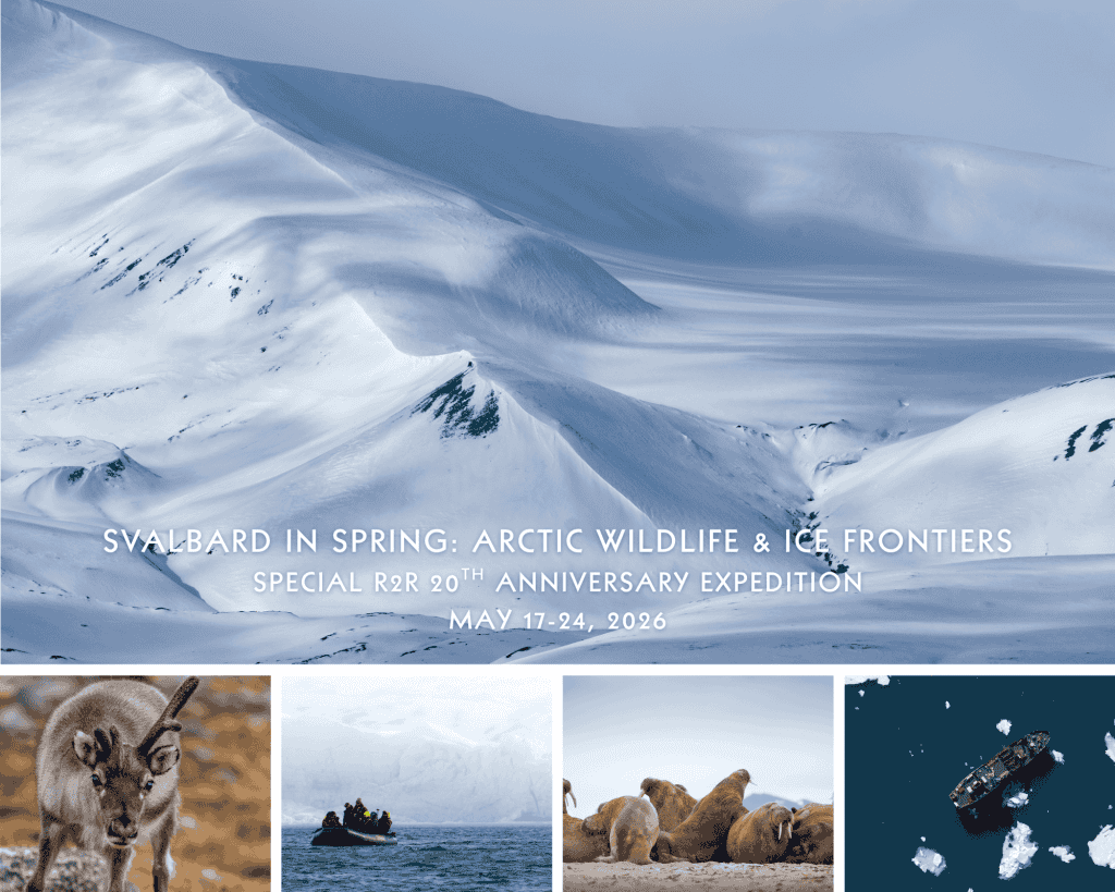 Svalbard-Card