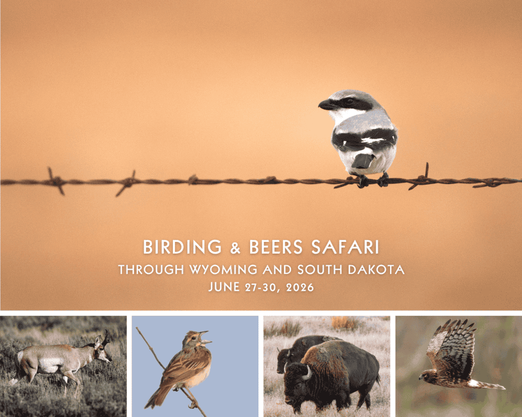 Birding-and-Beers-Wyoming