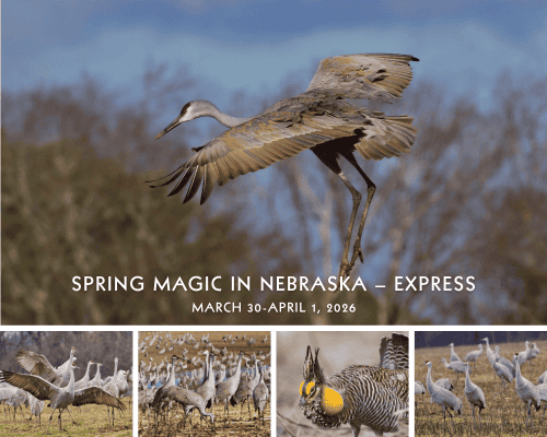 Spring Magic in Nebraska Express