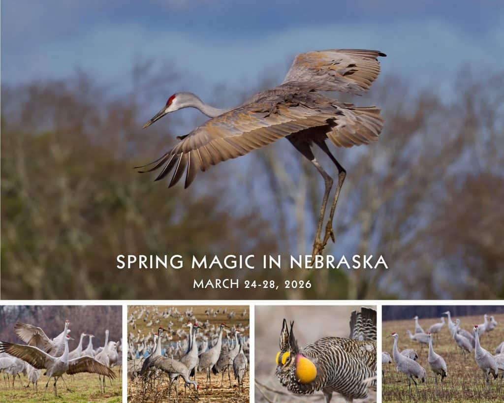 Spring-Magic-in-Nebraska-2026