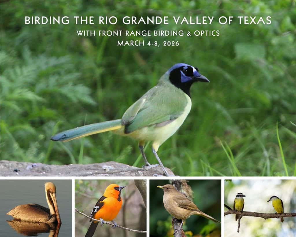 RGV-FRBO-postcard-–-2