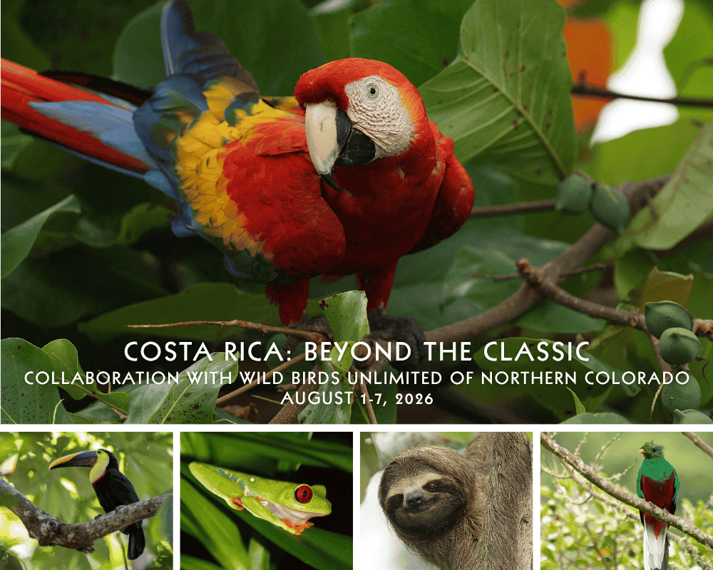 Costa-Rica-WBU-Colorado