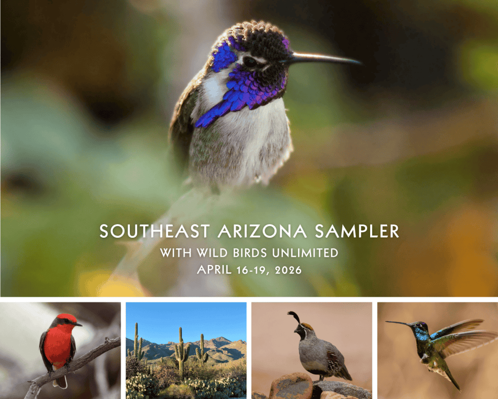 Southeast-Arizona-Sampler