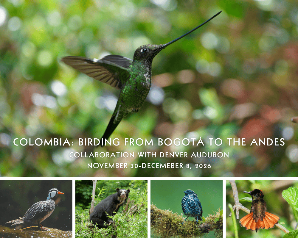 colombia-postcard