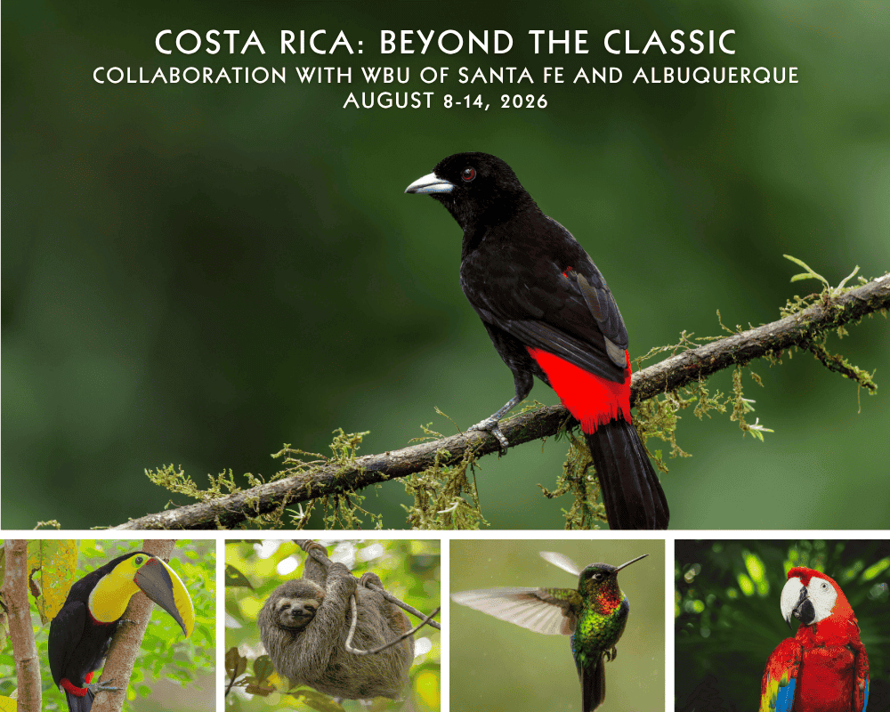 Costa-Rica-WBU-New-Mexico