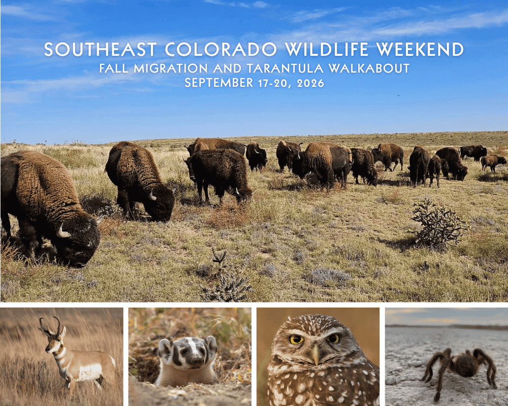 southeast-co-weekend-2026-k