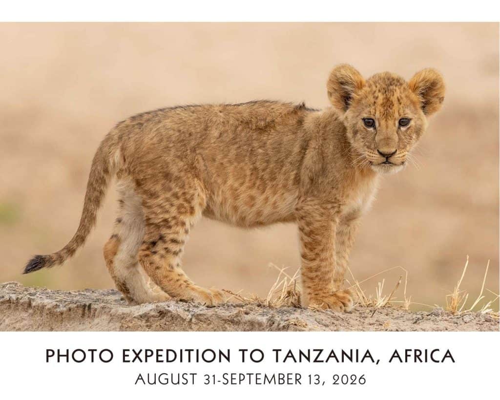 Tanzania-Photo-Expedition-with-Cheryl-Opperman