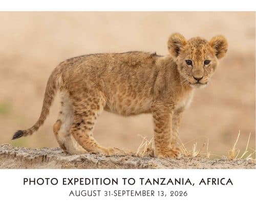 Tanzania Photo Expedition with Cheryl Opperman