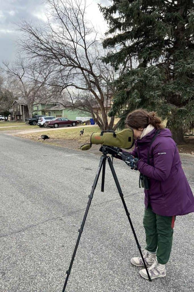 Carly scoping the neighborhood 