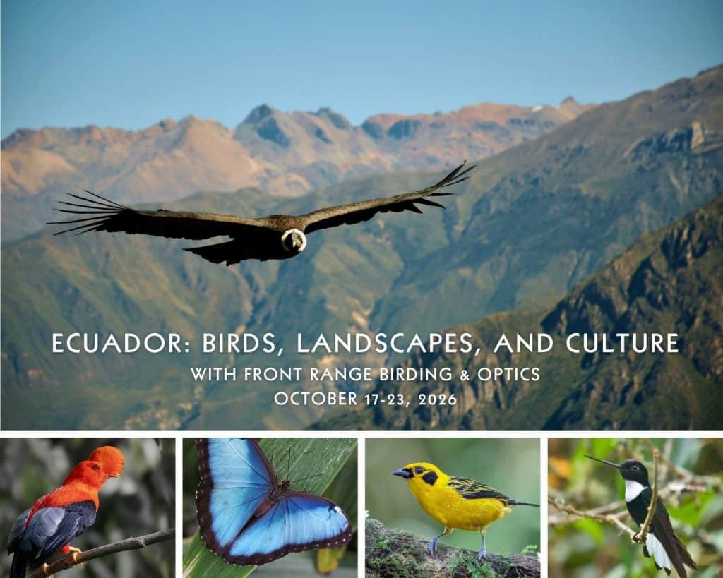 Ecuador-Birding-and-Wildlife-Trip