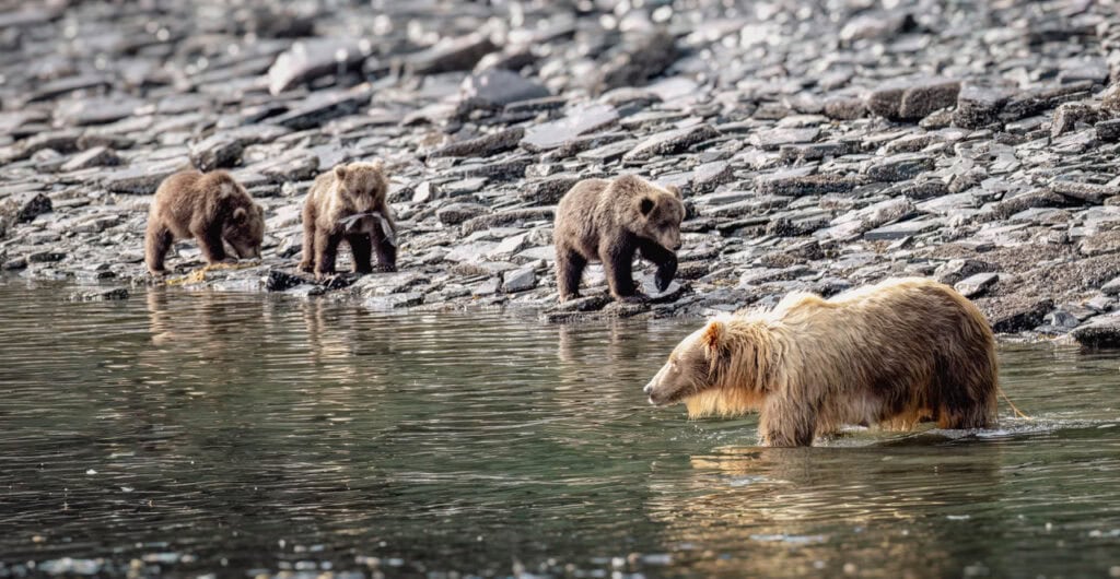 Photo by Reefs to Rockies pro photographer Michelle Theall