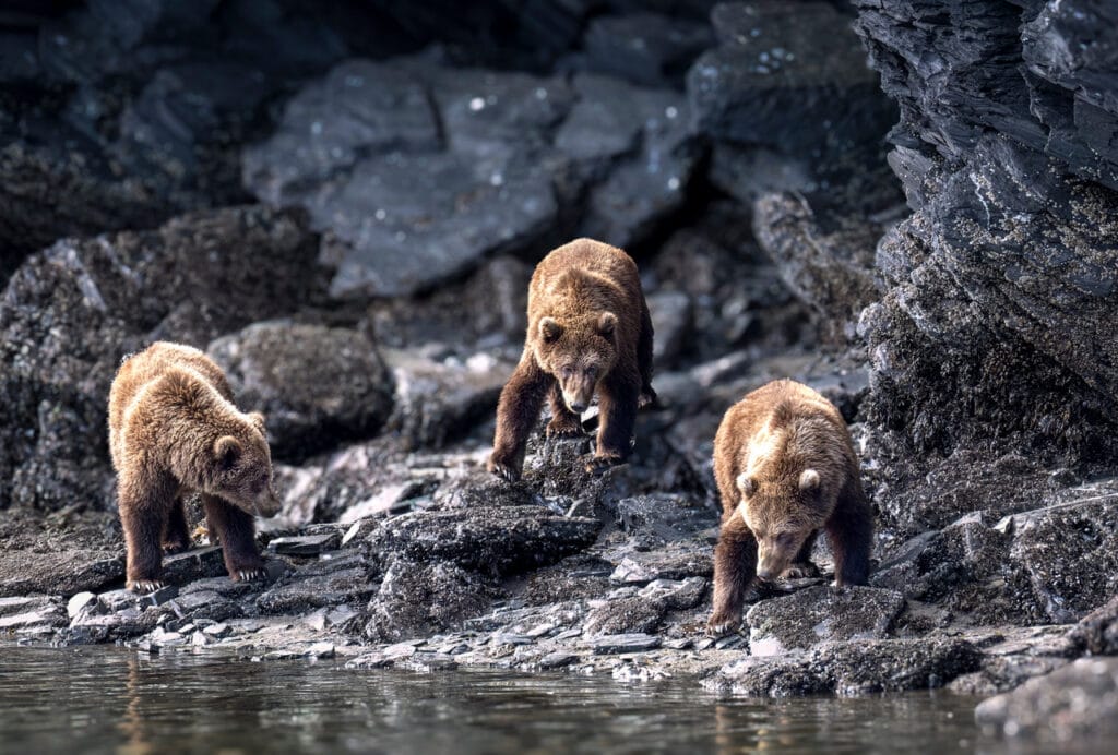 Photo by Reefs to Rockies pro photographer Michelle Theall