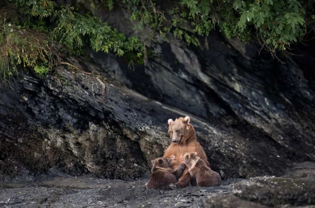 Photo by Reefs to Rockies pro photographer Michelle Theall