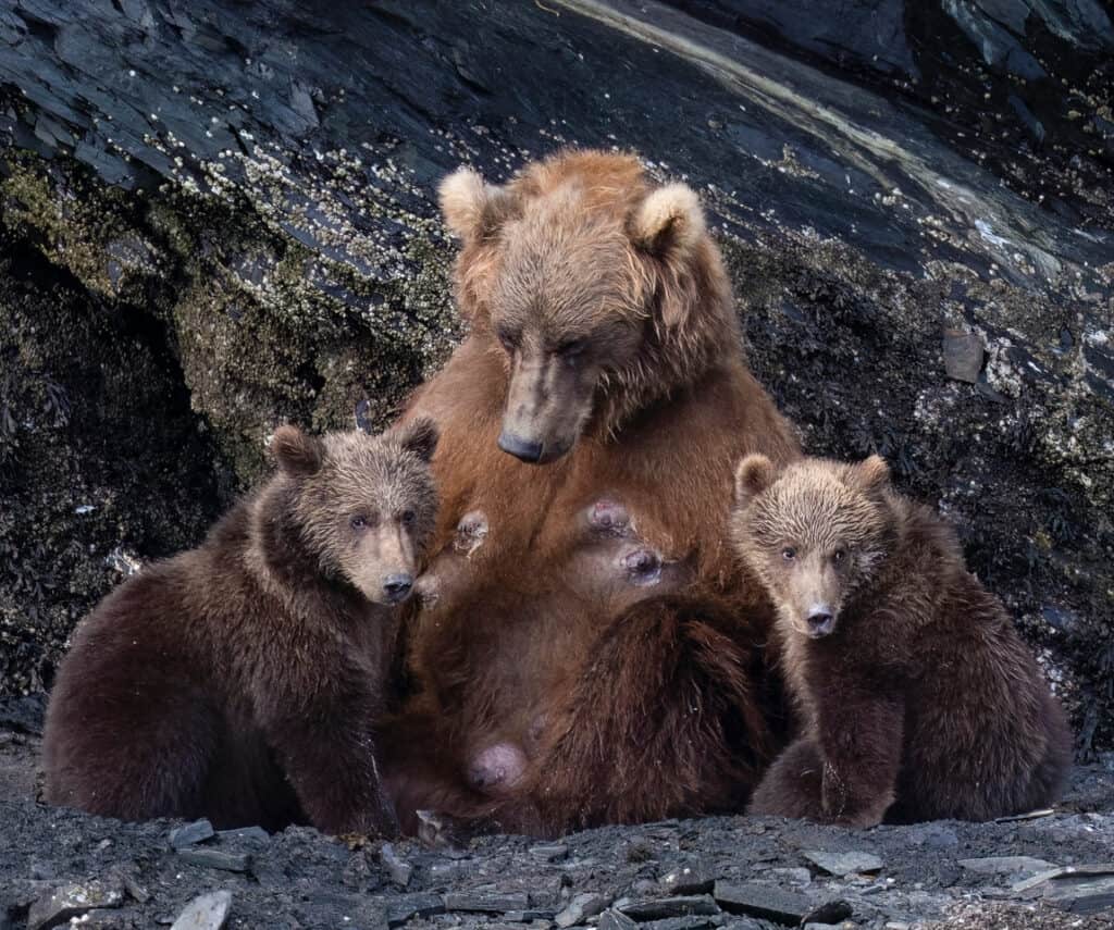 Photo by Reefs to Rockies pro photographer Michelle Theall